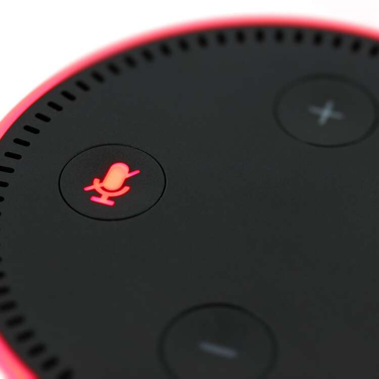 echo dot, amazon, language assistant