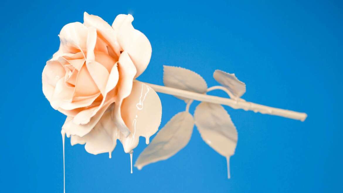 Liquid Rose